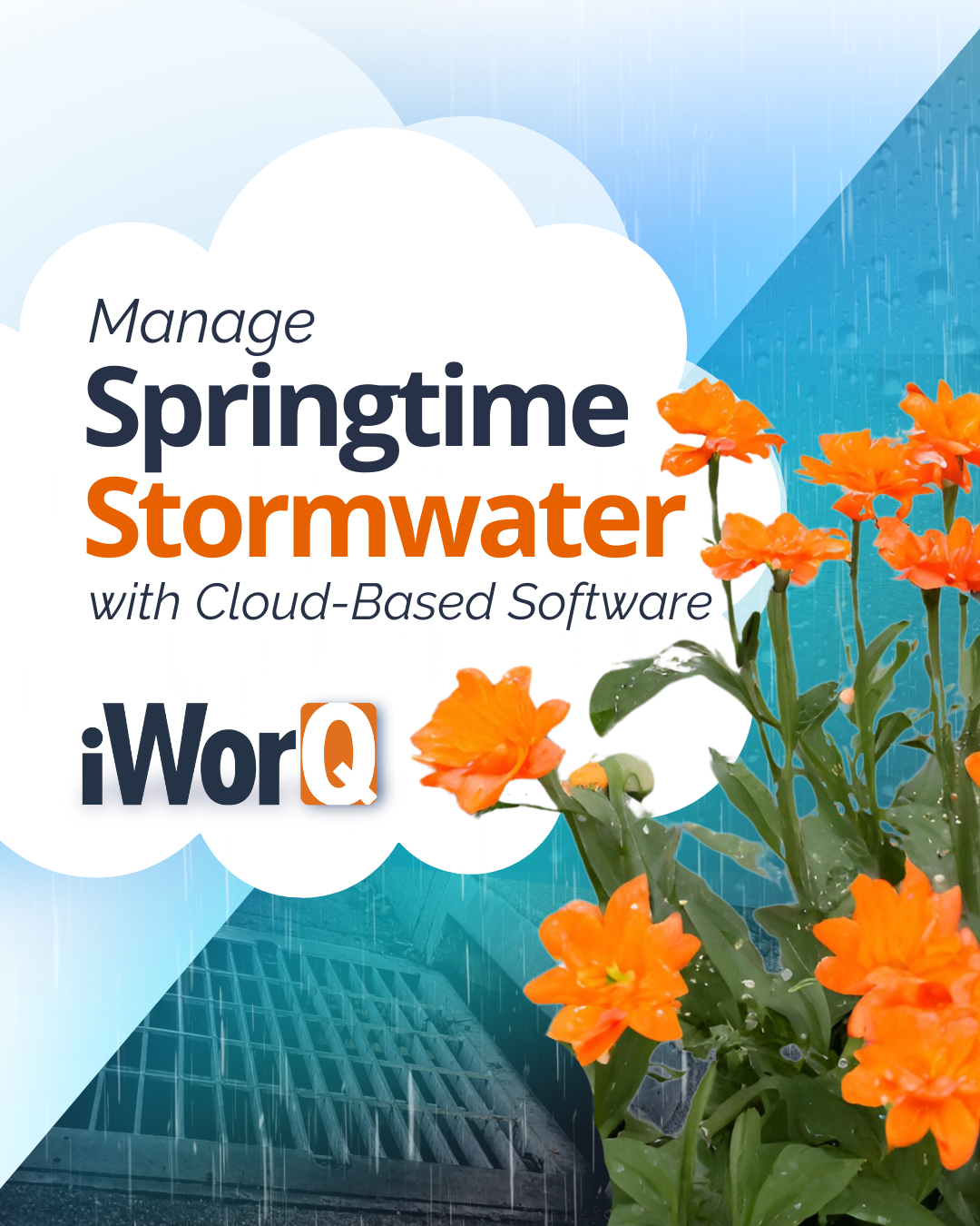 Clear the Storm with Cloud-Based Management Software